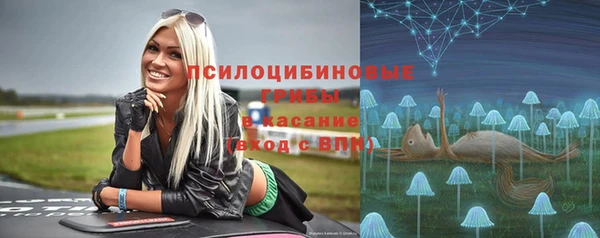 прущая мука Кулебаки